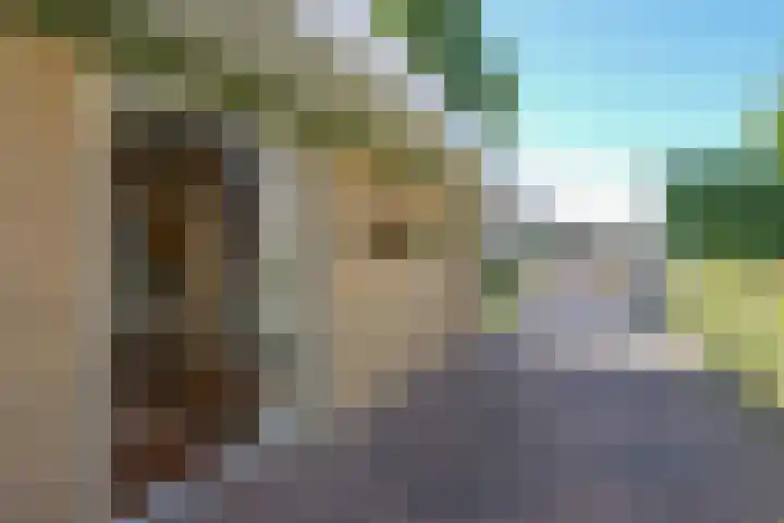 Manegelaan 38 Dronten thumbnail 10