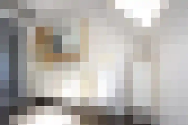 Manegelaan 38 Dronten thumbnail 33
