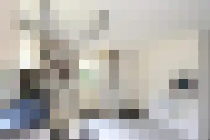 Manegelaan 38 Dronten thumbnail 41