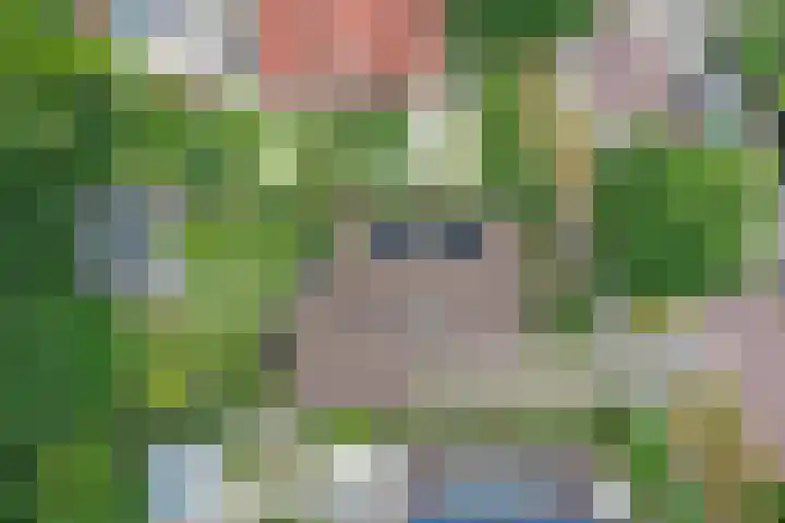 Manegelaan 38 Dronten thumbnail 42