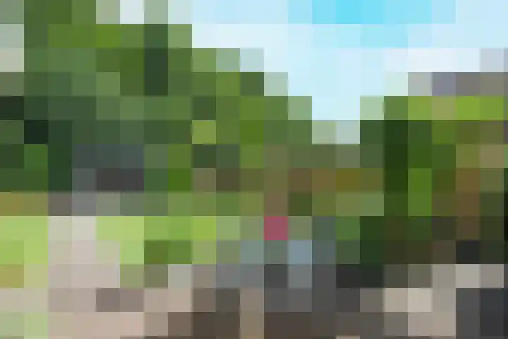 Manegelaan 38 Dronten thumbnail 43
