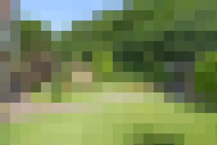 Manegelaan 38 Dronten thumbnail 44