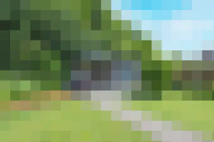 Manegelaan 38 Dronten thumbnail 46