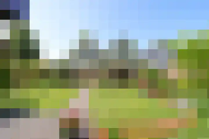 Manegelaan 38 Dronten thumbnail 48