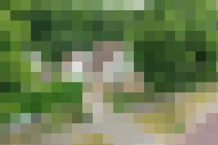 Manegelaan 38 Dronten thumbnail 5