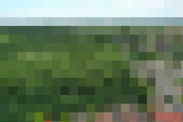 Manegelaan 38 Dronten thumbnail 52