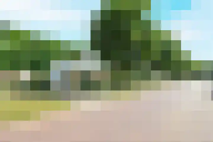 Manegelaan 38 Dronten thumbnail 53