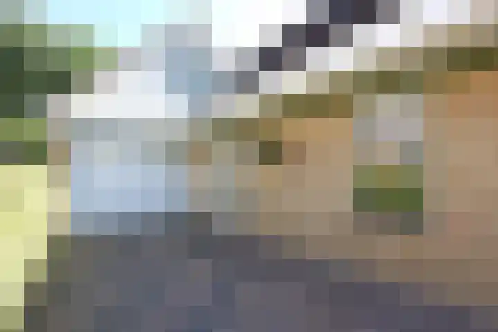 Manegelaan 38 Dronten thumbnail 9