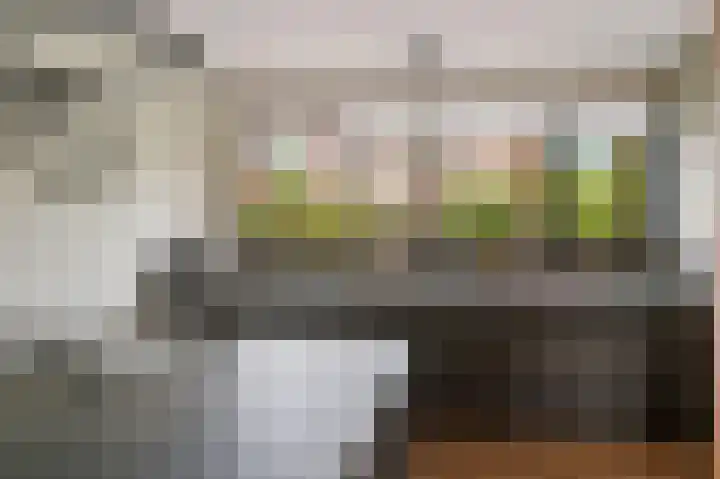 Manegelaan 61 Hoofddorp thumbnail 13