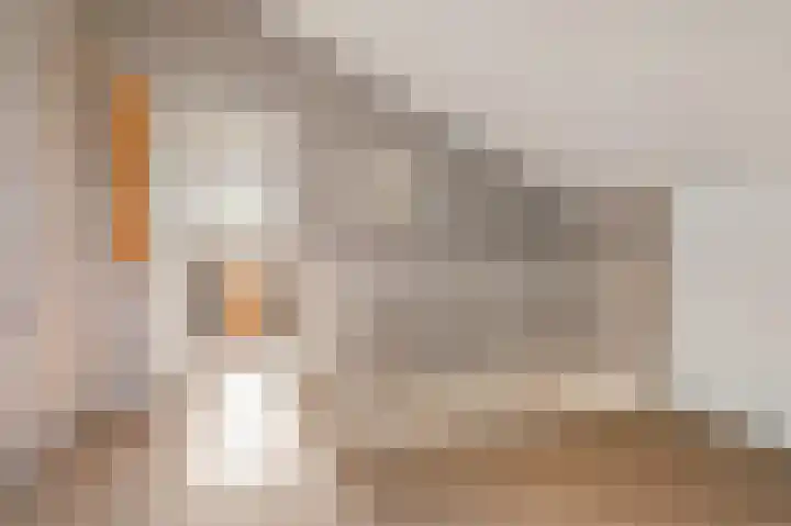 Manegelaan 61 Hoofddorp thumbnail 31