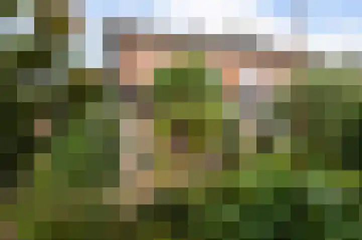 Manegelaan 61 Hoofddorp thumbnail 37