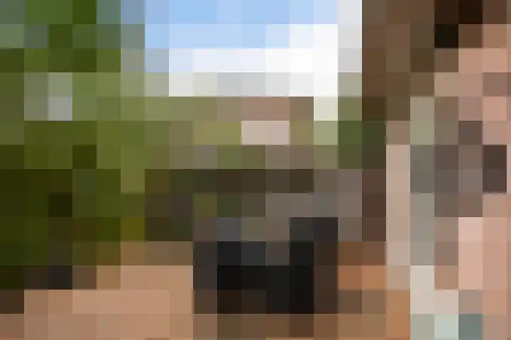 Manegelaan 61 Hoofddorp thumbnail 39