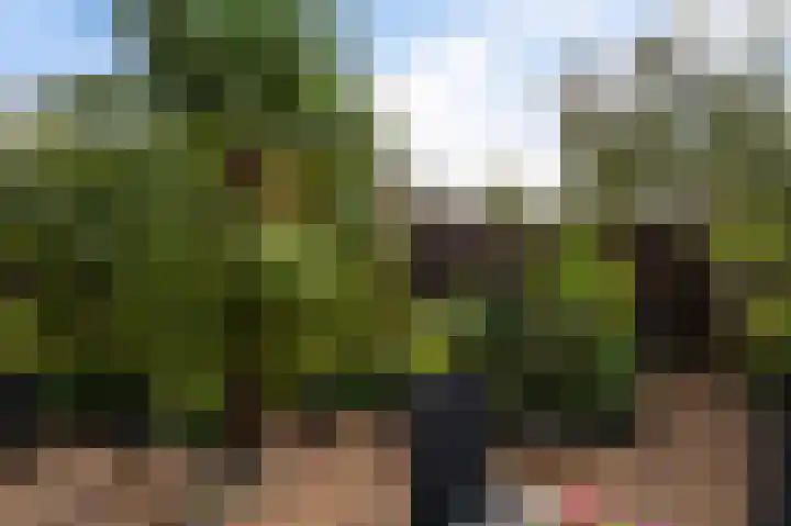 Manegelaan 61 Hoofddorp thumbnail 40