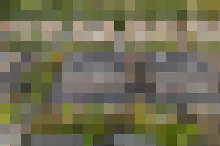 Manegelaan 61 Hoofddorp thumbnail 5