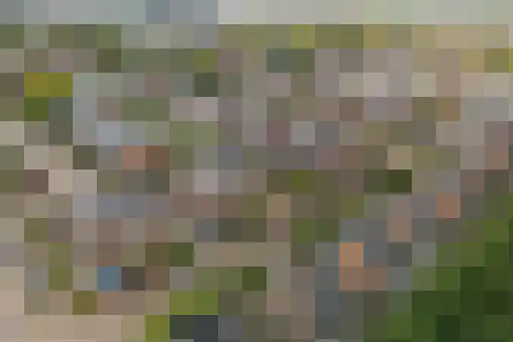 Manegelaan 61 Hoofddorp thumbnail 6