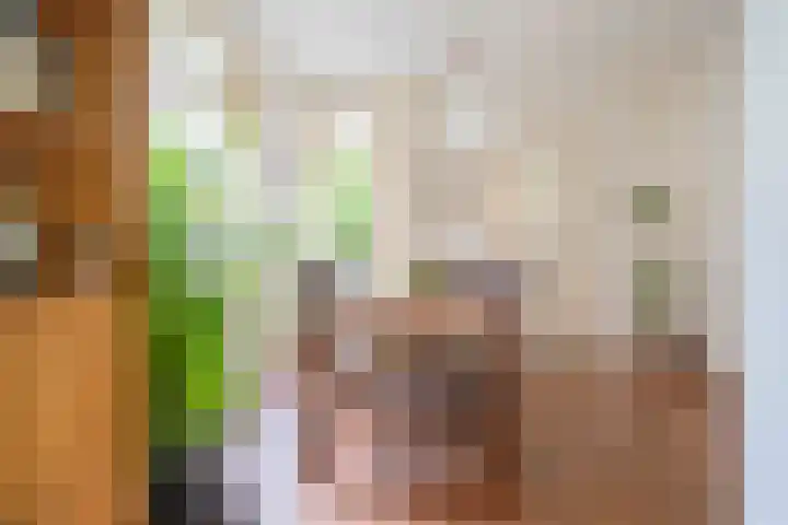 Manegelaan 7 Hoofddorp thumbnail 14