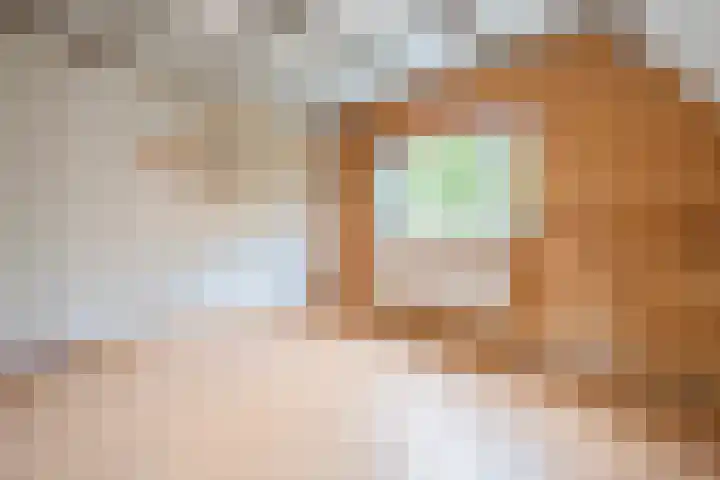 Manegelaan 7 Hoofddorp thumbnail 20