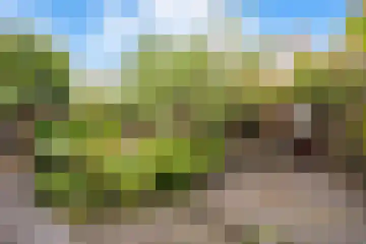 Manegelaan 7 Hoofddorp thumbnail 35