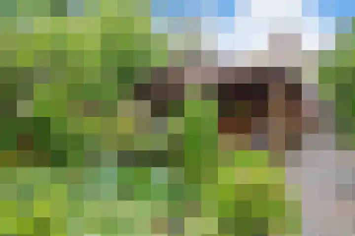 Manegelaan 7 Hoofddorp thumbnail 36
