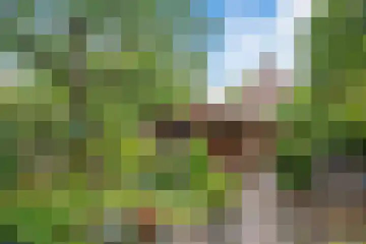 Manegelaan 7 Hoofddorp thumbnail 4