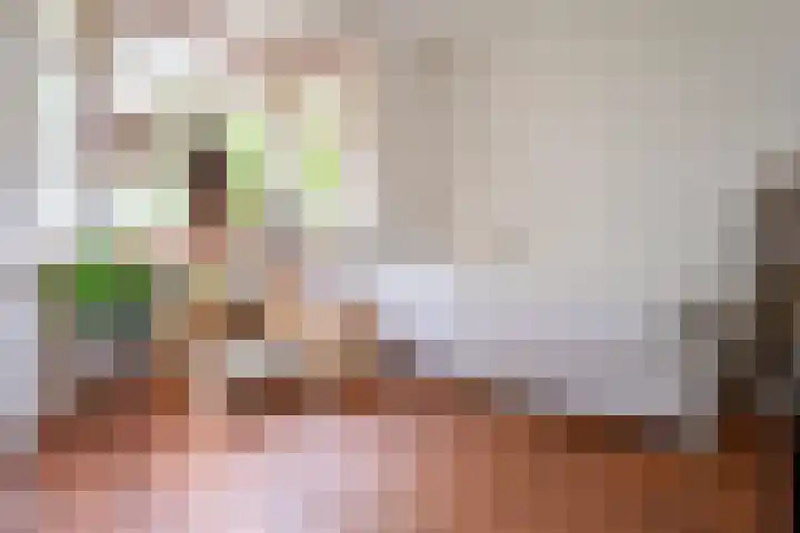 Manegelaan 7 Hoofddorp thumbnail 6