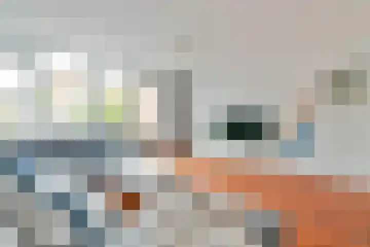 Manegelaan 71 Hoofddorp thumbnail 11
