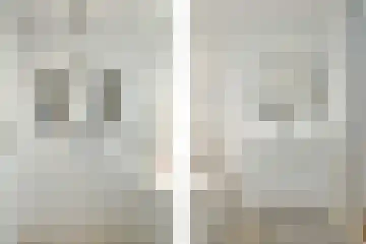 Manegelaan 71 Hoofddorp thumbnail 22