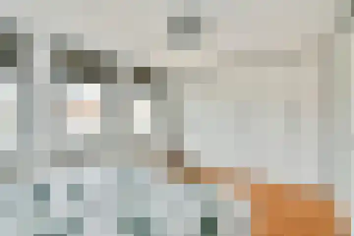 Manegelaan 71 Hoofddorp thumbnail 24