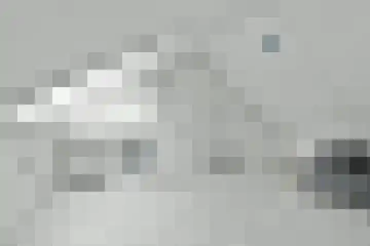 Manegelaan 71 Hoofddorp thumbnail 28