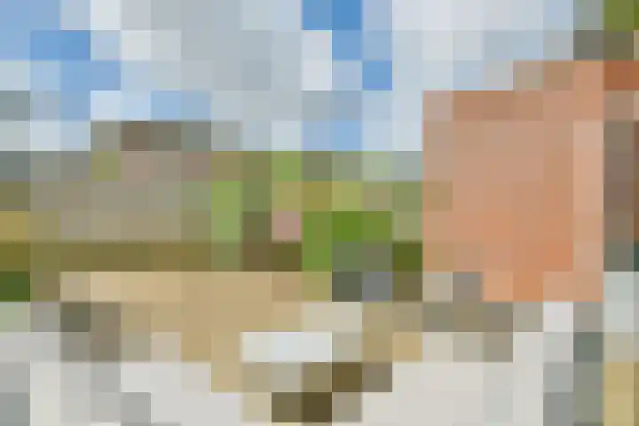 Manegelaan 71 Hoofddorp thumbnail 31