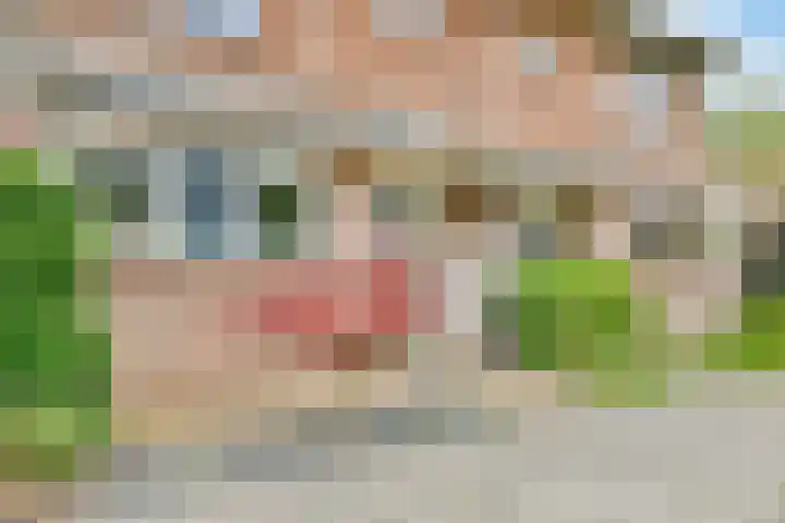 Manegelaan 71 Hoofddorp thumbnail 5