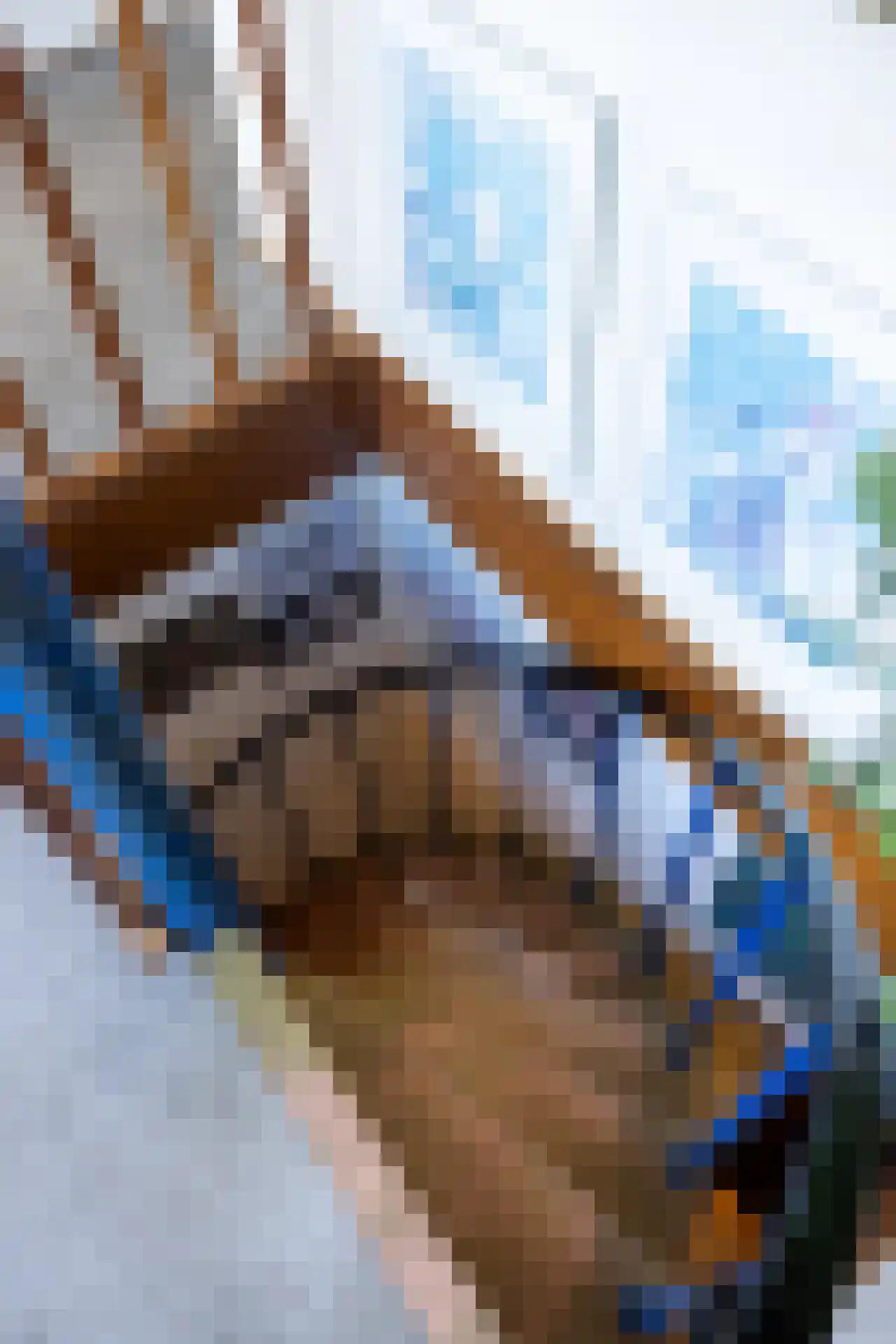 Manegelaantje 1 Rotterdam thumbnail 29