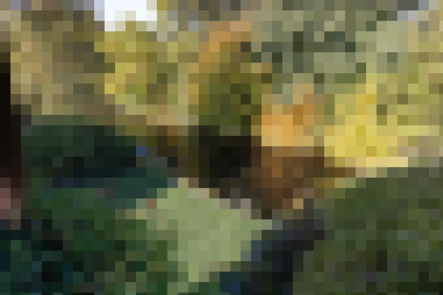 Manegelaantje 1 Rotterdam thumbnail 37