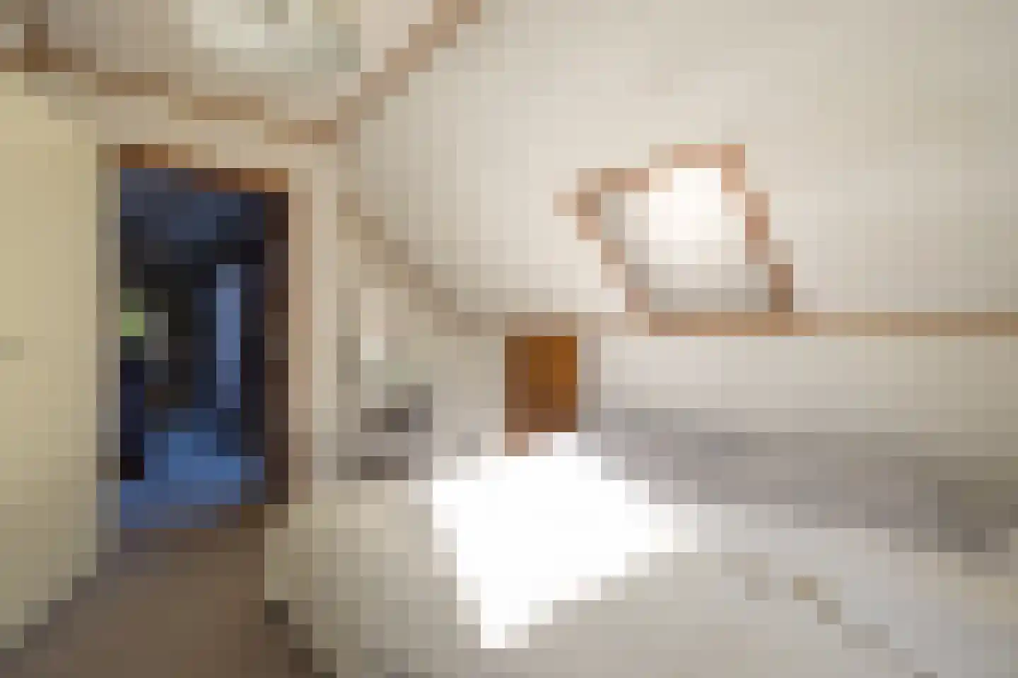 Manegelaantje 1 Rotterdam thumbnail 38