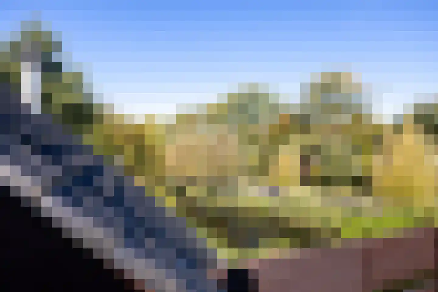 Manegelaantje 1 Rotterdam thumbnail 44