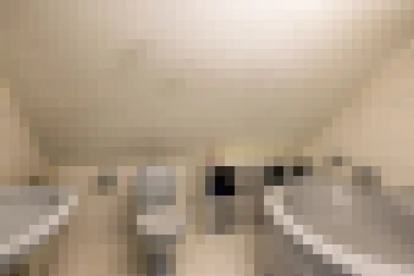 Manegelaantje 1 Rotterdam thumbnail 45
