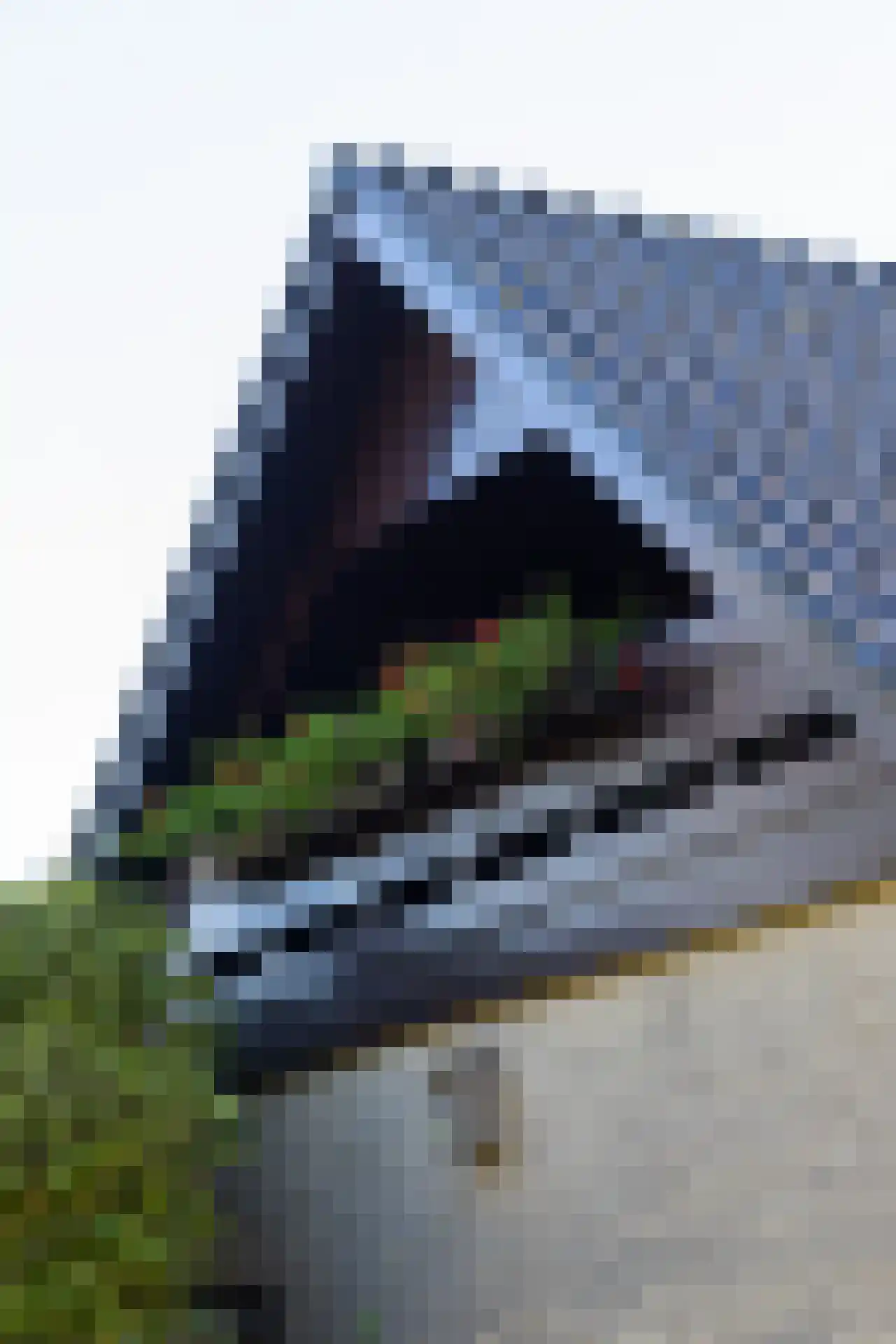 Manegelaantje 1 Rotterdam thumbnail 48