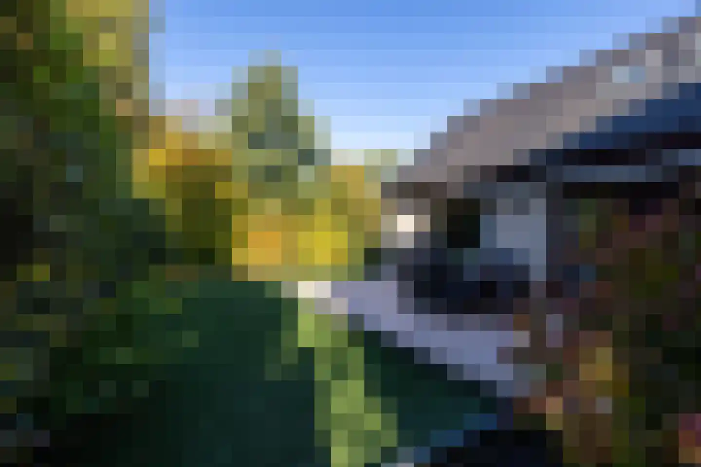 Manegelaantje 1 Rotterdam thumbnail 51
