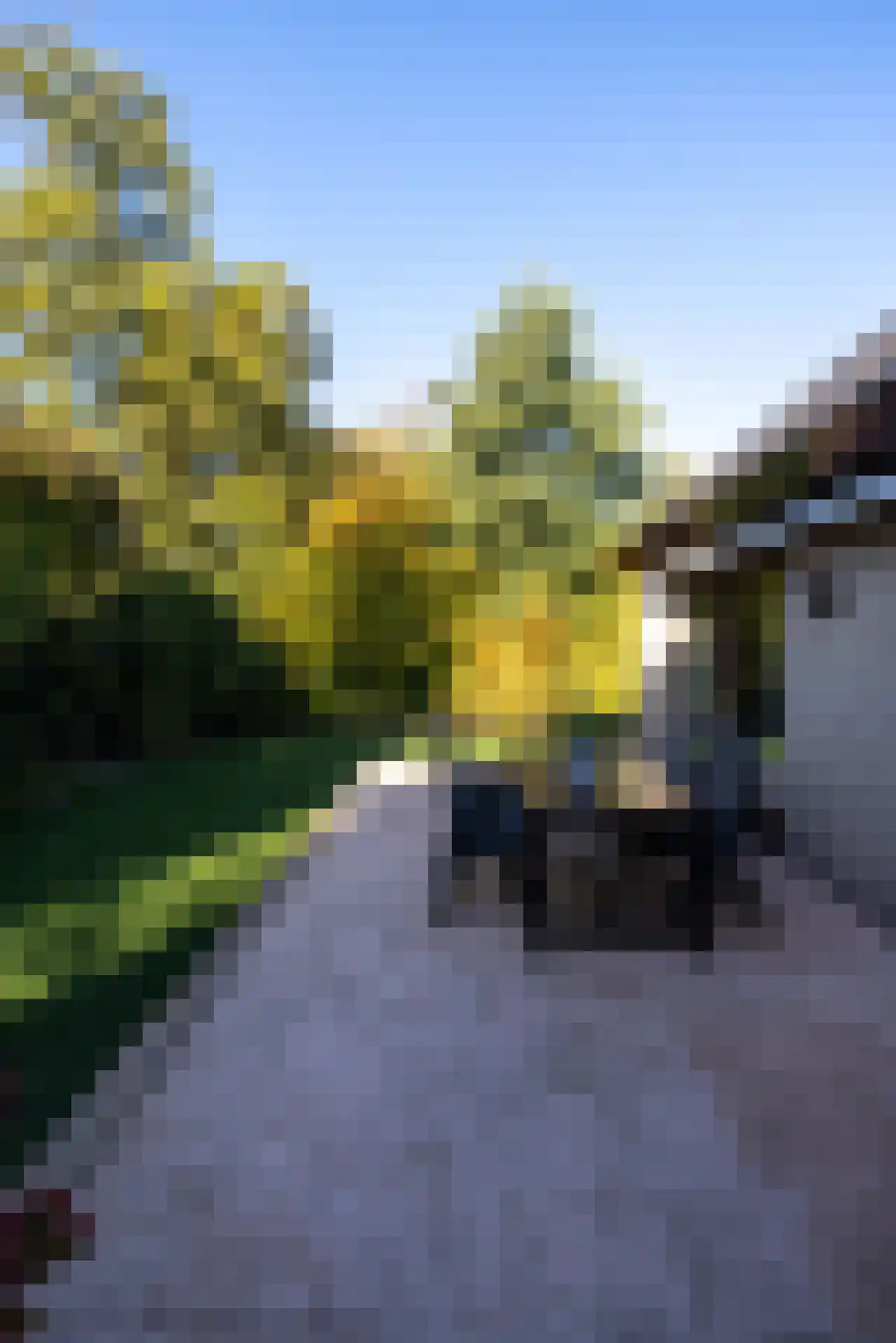Manegelaantje 1 Rotterdam thumbnail 53
