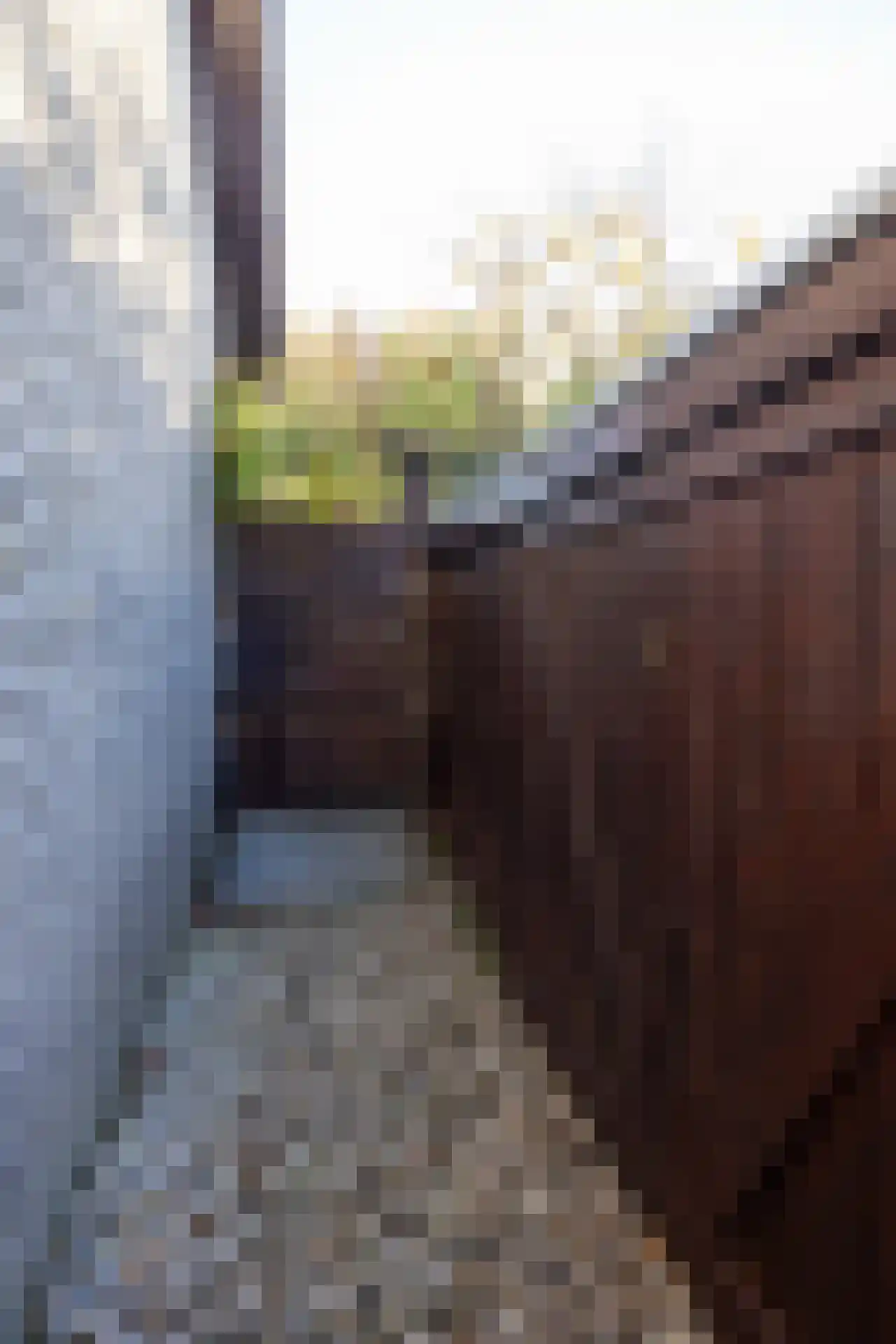 Manegelaantje 1 Rotterdam thumbnail 54
