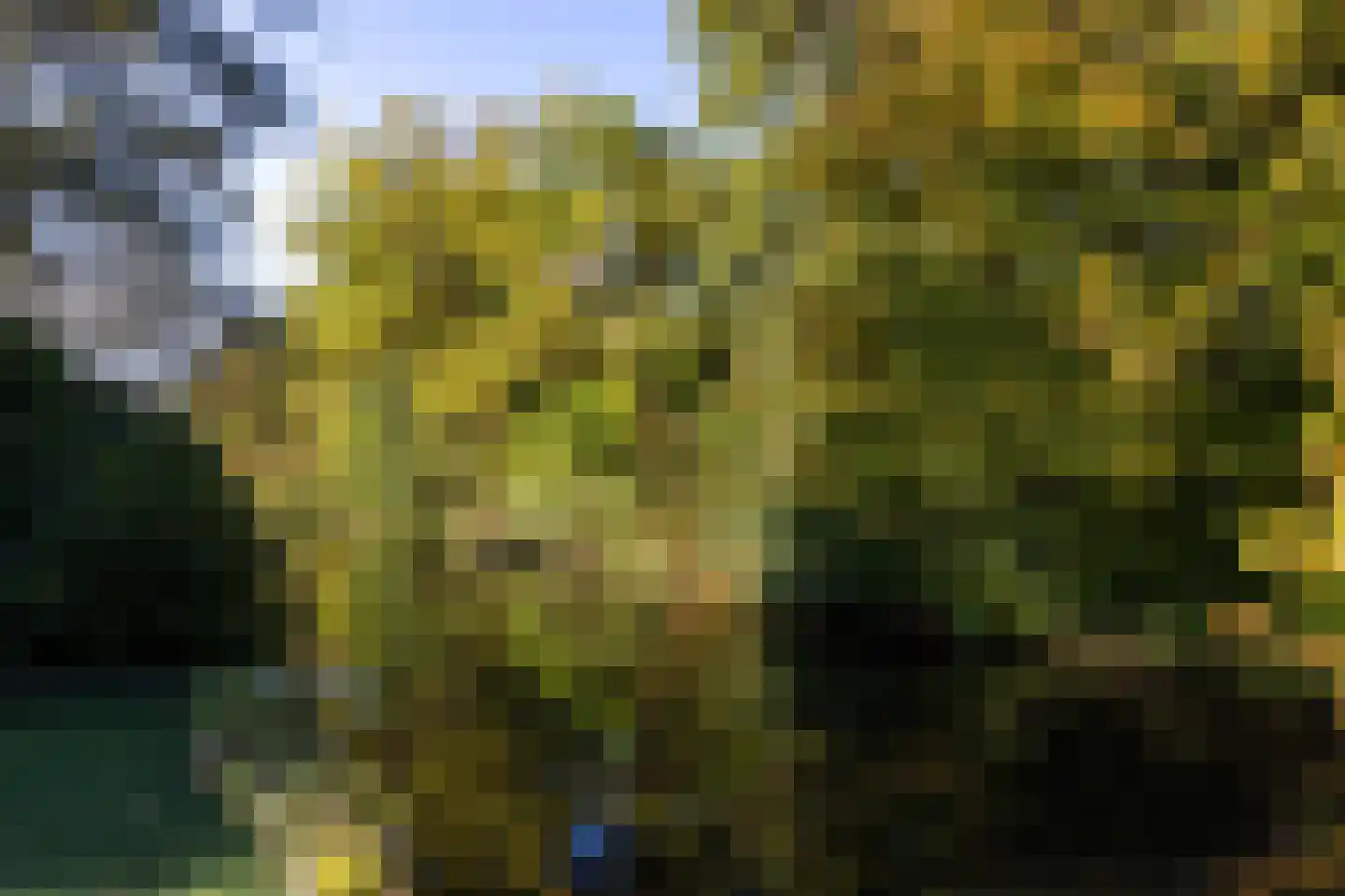 Manegelaantje 1 Rotterdam thumbnail 56