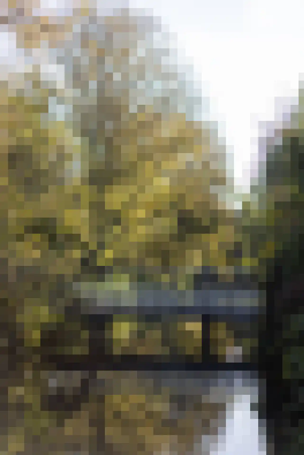 Manegelaantje 1 Rotterdam thumbnail 63