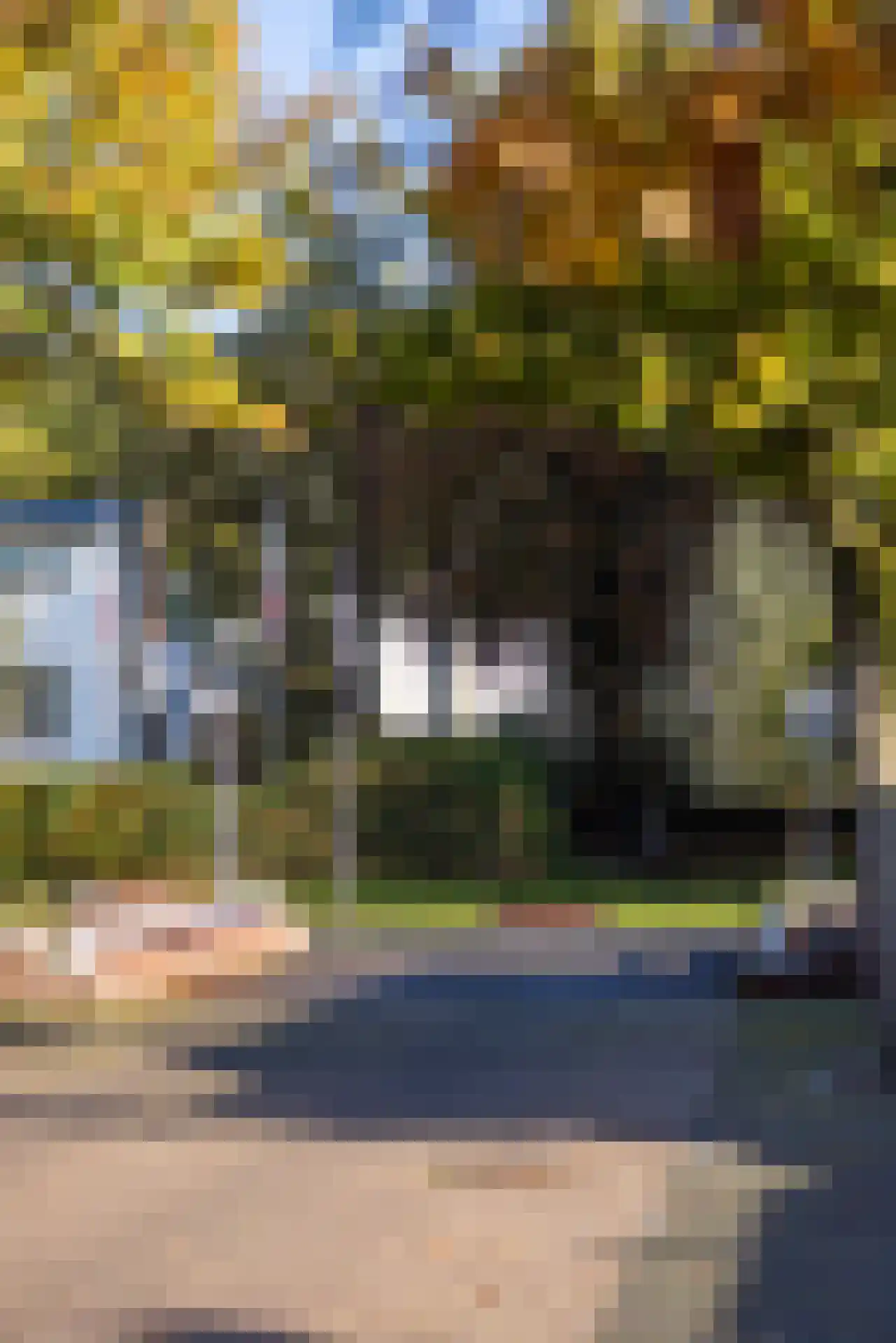 Manegelaantje 1 Rotterdam thumbnail 64