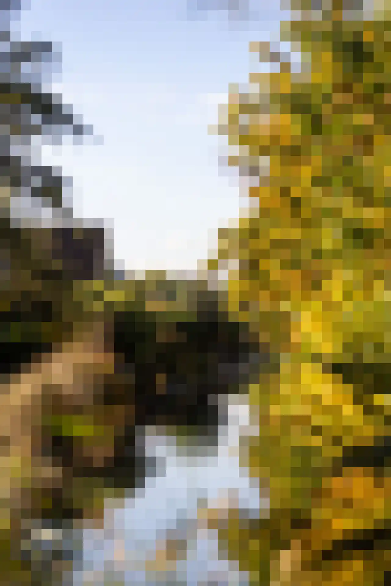 Manegelaantje 1 Rotterdam thumbnail 66