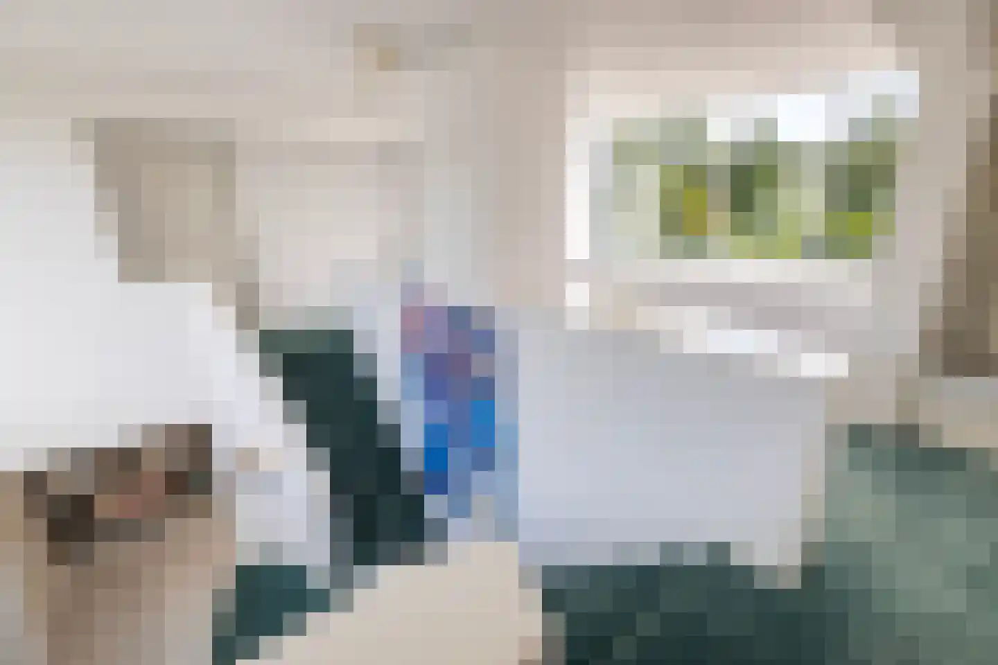 Manegelaantje 10 Rotterdam thumbnail 8