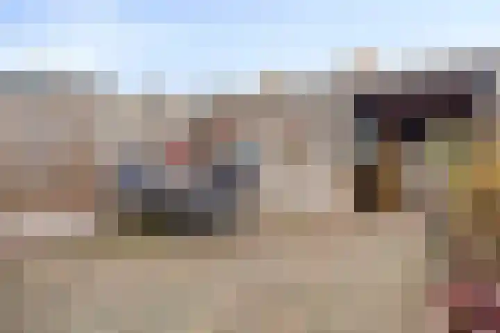 Manegestraat 17 Deventer thumbnail 21