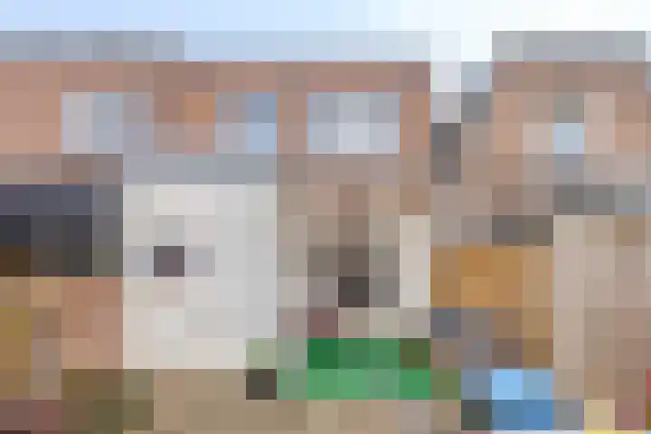 Manegestraat 17 Deventer thumbnail 23