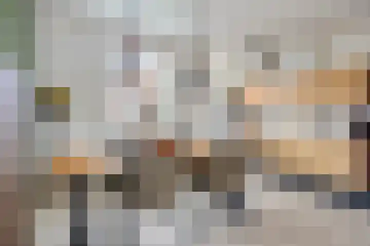 Manegestraat 17 Deventer thumbnail 5