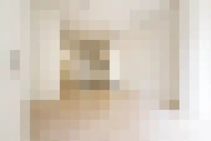 Manegestraat 2 1 Amsterdam thumbnail 8