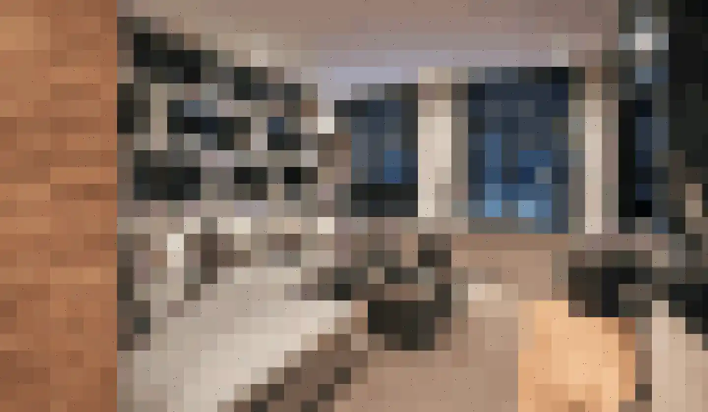 Manegestraat 2 3 Amsterdam thumbnail 17